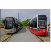 2021-05-21 Alstom Flexity Bruxelles (03700378).jpg